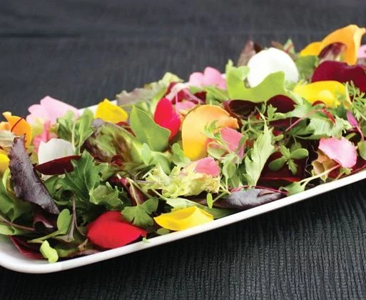 Mùi và vị không đơn giản chỉ hạn cuộc nơi đồ ăn thức uống mà còn nhiều thứ khác nữa